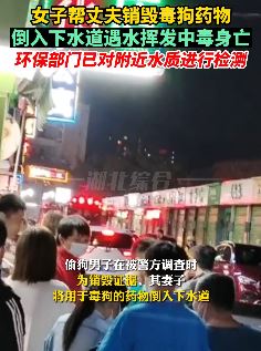 女子帮丈夫销毁毒狗药 将药倒下水道不料遇水挥发中毒身亡