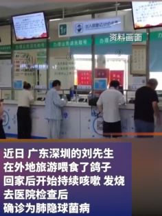 深圳一男子外地旅游喂食鸽子 回家后持续咳嗽发烧