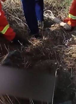 河南一女孩采摘草絮不慎坠井 消防员随后成功救出