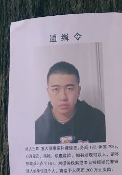 陈翔六点半:王炸被猪小明误认为是杀人犯,一路跟踪想赚200万!