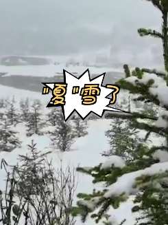 云南德钦县突降"夏"雪 雪景美如画