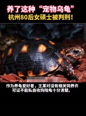 杭州80后女硕士养乌龟被判刑