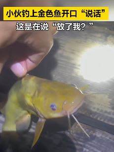 河南濮阳一男子钓上一条会"说话"金色鱼