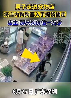 深圳一男子进宠物店偷走万元小狗
