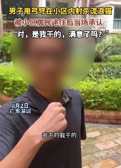 深圳一男子用弓弩在小区内射杀流浪猫