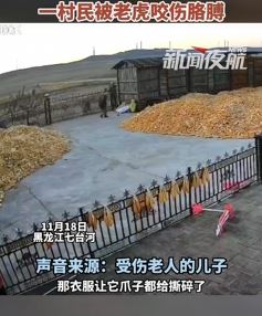 黑龙江七台河一村民被老虎咬伤胳膊