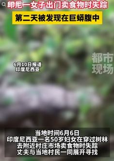 网曝印尼一女子被巨蟒生吞 丈夫划开蛇腹发现其尸体