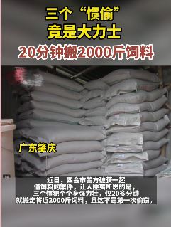 3小偷20分钟搬2000斤饲料