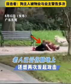 东莞一小区业主遛狗不栓绳 狗将一老人扑倒在地