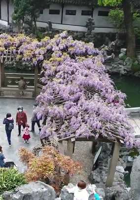 好消息！苏州园林对全国医务人员免费开放一年！