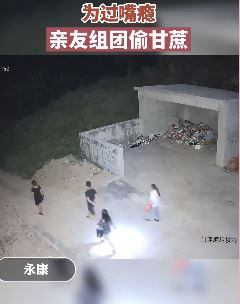 亲友组团偷甘蔗 砍头去尾只要中间段