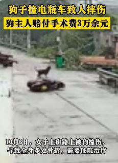 女子上班路上骑车被狗撞倒致多处骨折