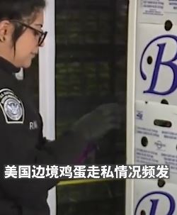美国蛋价暴涨 毒贩运毒时夹带走私鸡蛋
