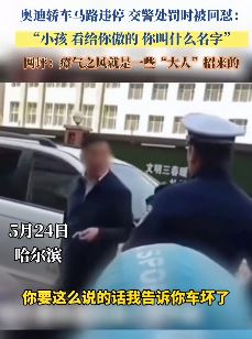 哈尔滨一男子马路上违停怒怼交警