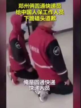 网曝圆通快递员下跪磕头道歉，仅因未及时打电话通知！