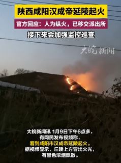 官方回应咸阳汉成帝延陵起火：人为纵火，将加强监控巡查