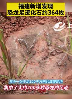 福建上杭发现"恐龙舞池"  新增恐龙足迹化石364枚