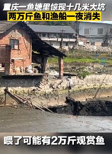 重庆一鱼塘现十几米大坑 一夜间2万斤鱼全消失