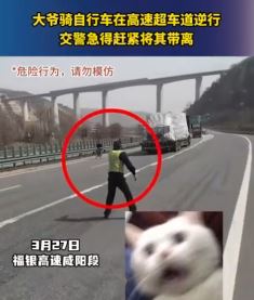 大爷骑自行车高速上逆行被交警带离