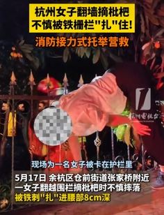 杭州一女子翻墙摘枇杷被铁栅栏扎入腰部8cm深