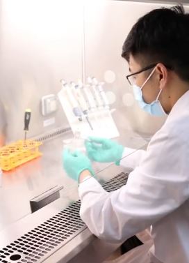 科学家用蛇毒造出超级凝血胶 最快45秒止血