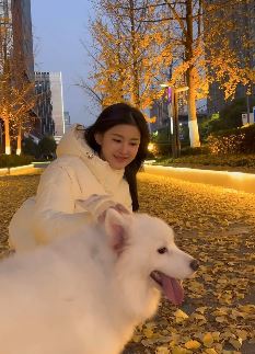 气质小姐姐「小思思」分享户外遛狗vlog,网友:芙蓉不及美人妆[