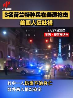3名荷兰特种兵在美遭枪击1人身亡