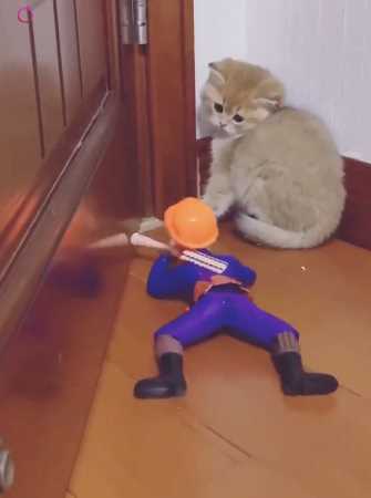 这是要打我吗？我应该怎么办呢，想跑却无路可逃！