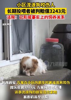 小区流浪狗咬伤人 长期投喂者被判赔偿医药费