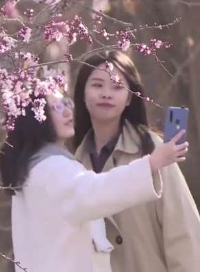 甘肃敦煌千亩杏花绽放 游客走出户外踏青赏花