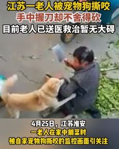 老人被宠物狗撕咬 手中握刀却不舍得砍