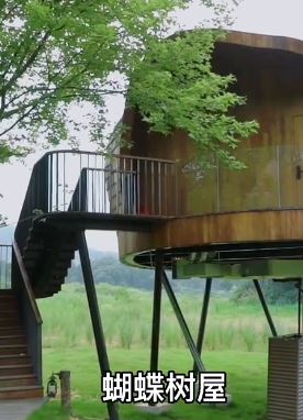 暑期亲子游好去处——江西新余仙女湖畔树蛙部落亲子民宿