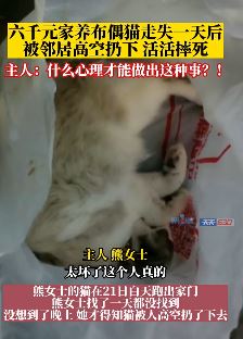 重庆一女子养的宠物猫被邻居高空扔下活活摔死