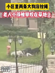 成都一小区老人与小孩在草地上被未拴绳大狗撕咬