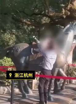 西湖保安劝阻游客骑雕塑被骂"像狗一样的东西"