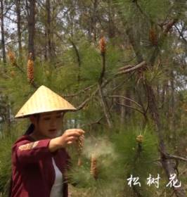 入口软绵香甜的松花糕，你吃过吗？