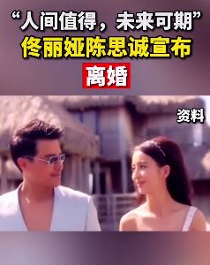 陈思诚、佟丽娅离婚 结束7年婚姻生活