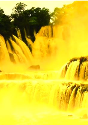 广西德天瀑布现“黄金瀑布”奇观