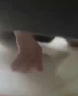 杭州一女孩公厕被男子偷窥 反拍对方给警方提供证据