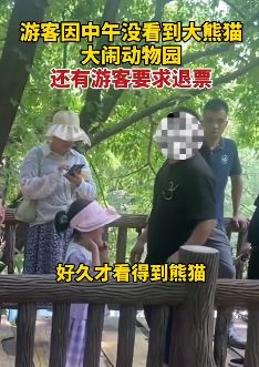 重庆一男子因熊猫午休没看到大闹动物园