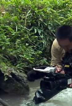 年仅39岁摄影师因病去世捐献遗体和眼角膜