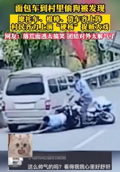 偷狗贼驾驶面包车到村里偷狗 村民齐力上演捉贼大戏