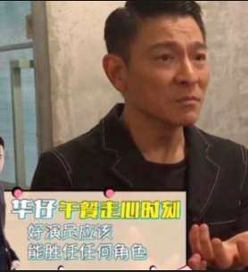 刘德华谈好演员标准