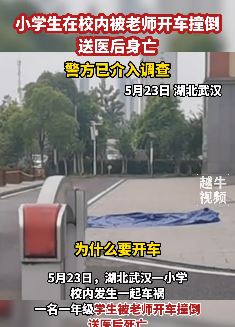 武汉一小学生校内被老师开车撞倒身亡