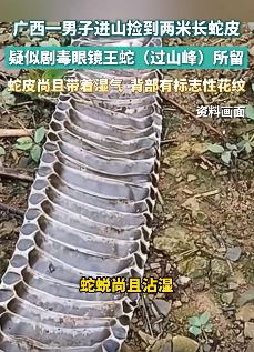 男子捡到两米长眼镜王蛇蛇皮