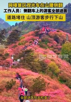 网曝武汉一景区观光车山腰侧翻 车上游客全送医