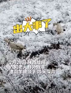 咸阳一老人野外放羊遭“暗算”被顶下深沟