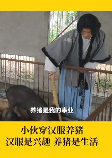 安徽一小伙穿汉服养猪走红