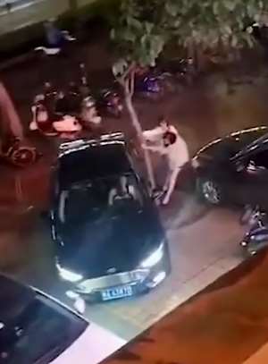 女司机倒车倒出新高度，技术不够，力量来凑！