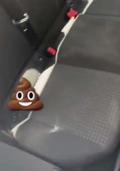 长春一男子租共享汽车发现车上有粪便